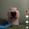 Profile Picture of Scott Steiner (@@scottsteiner5) on Tiktok