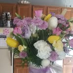 Profile Picture of Ann Correll (@ann.correll.75) on Facebook