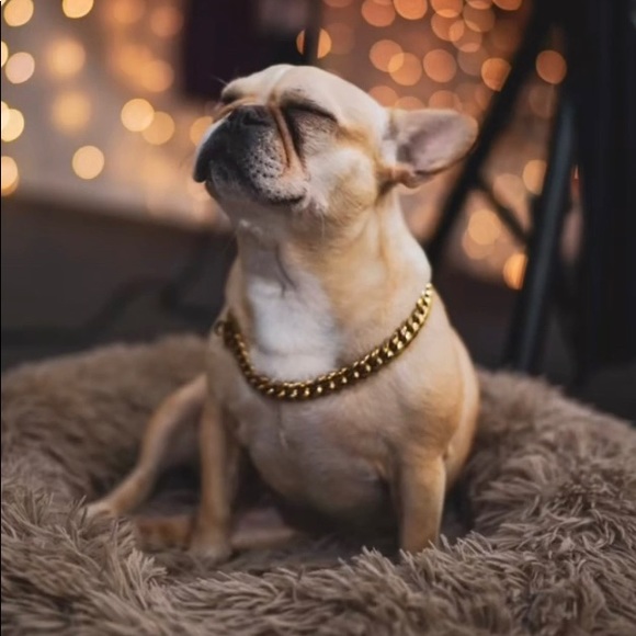 Profile Picture of William Quintero (@williamquint466) on Poshmark