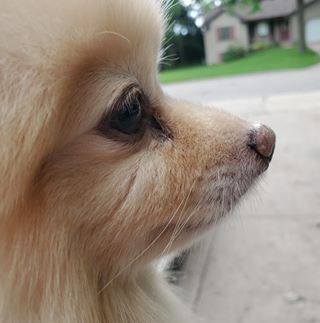 Rene Dalpe - Facebook Profile Picture of Rene Dalpe (@rene.dalpe.75) on Facebook