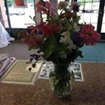 Profile Picture of Lisa Kowalewski (@kowalewski_lisa) on Instagram