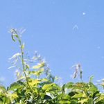 Profile Picture of owen ardell (@mousam__) on Instagram