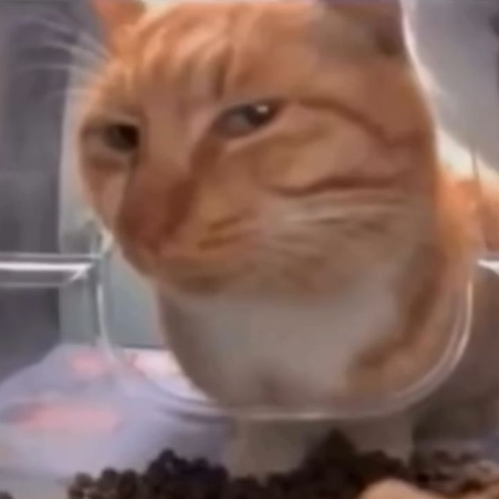 Profile Picture of ¢няιѕтσρнєя (@christopher.mills_) on Tiktok