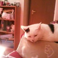 Profile Picture of Eileen Austin (@eileen-austin-2) on Quora