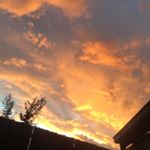 Profile Picture of Talei Charlotte (@david.spowart2018) on Instagram