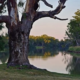 Profile Picture of Lillo Madden (@leone_madden) on Pinterest