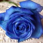 Profile Picture of Sharon Mohammed (@sharonmohammed28) on Instagram