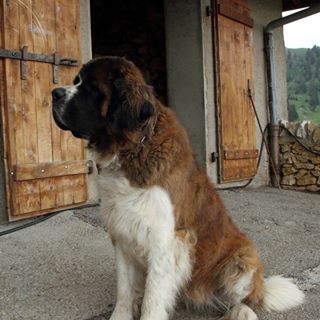 Profile Picture of Peter Stauber (@Peter-Stauber) on Facebook