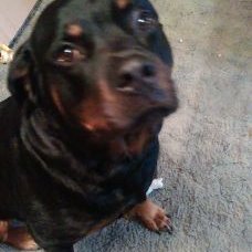 Profile Picture of Christian Winters (@thewintersclan) on Twitter