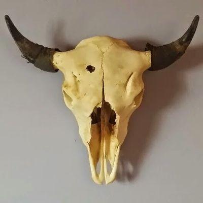 Profile Picture of Matthew Caggiano (@matt2257411) on Twitter