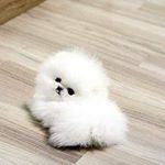 Profile Picture of Naomi Lara (@naomi.lara.144181) on Instagram