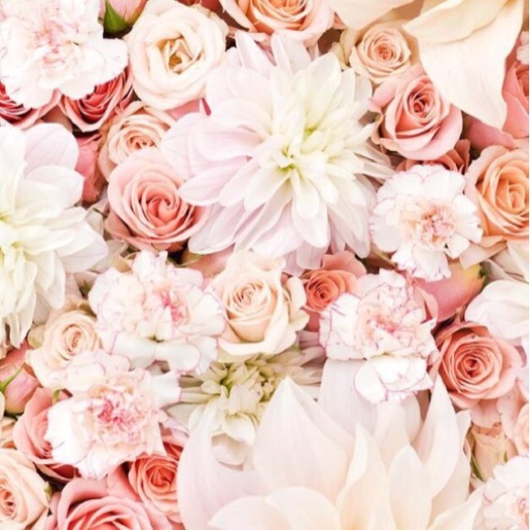 Mari beth Hochstetler - Poshmark Profile Picture of Mari beth Hochstetler (@emmylou490) on Poshmark