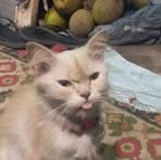 Profile Picture of Bonghanoy Matthew James (@Bonghanoy-Matthew-James) on Facebook