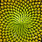 Profile Picture of Aaron  C M (@stock market instructions) on Flickr