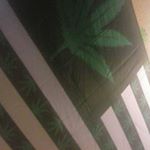 Profile Picture of Shawn Vanderpool (@shawngreenvanderpool420) on Instagram
