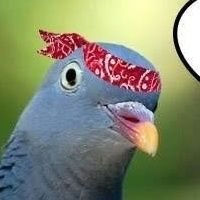 Mario O Pombo - Twitter Profile Picture of Mario O Pombo (@Peidin3) on Twitter