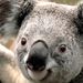 Profile Picture of David Fales (@falesd3149) on Pinterest