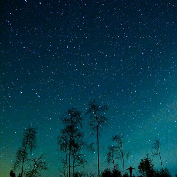 Profile Picture of Kayla Toubiniski (@kt_southern) on Poshmark