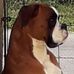 Profile Picture of Jean Mollet (@jean.mollet.5477) on Facebook
