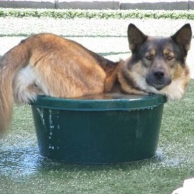 Profile Picture of Andrew Cowley (@andrew4506) on Twitter