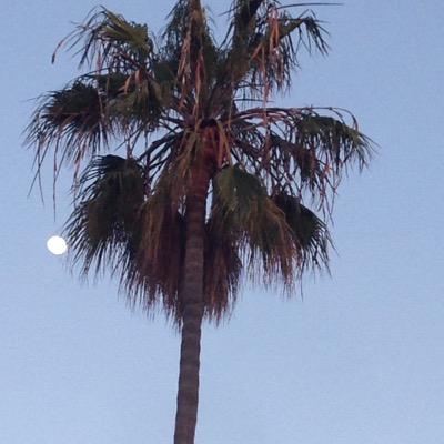 Dave Boulter - Twitter Profile Picture of Dave Boulter (@daave2000) on Twitter