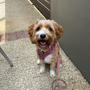 Paul Symonds - Youtube Profile Picture of Paul Symonds (@pksymondsable) on Youtube