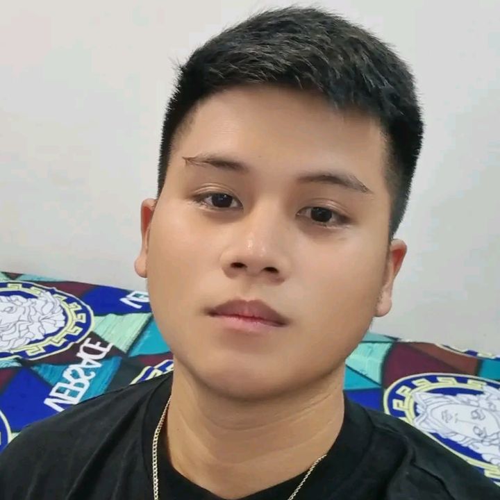 Profile Picture of Vincent Berino (@dexterwise04) on Tiktok