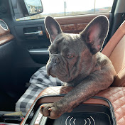 Profile Picture of Daniel Freese (@danielfreese4271) on Youtube