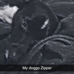 ian straight - Instagram Profile Picture of ian straight (@straightian10) on Instagram