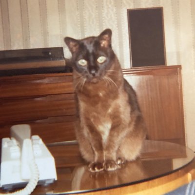 Profile Picture of Sonia  Lear (@SoniaLear2) on Twitter