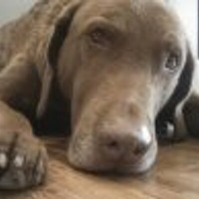 Profile Picture of Jen Rowland (@Jenicide) on Twitter