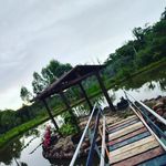 Profile Picture of Jonathan Pimenta (@chacara_pimenta_terra_roxa) on Instagram