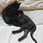 Profile Picture of Ryan&april (@ryan&april) on Flickr