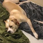 Brianna McCann - Instagram Profile Picture of Brianna McCann (@brpbri) on Instagram