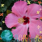 Profile Picture of Brenda J Bryan Breckenridge (@brendabryanbreckenridge) on Instagram