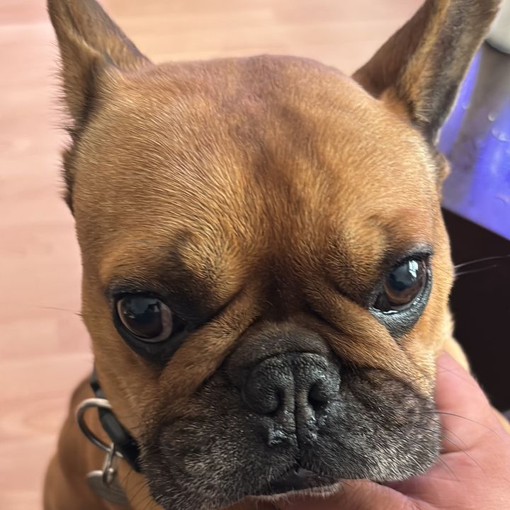 Profile Picture of Guy Hillier (@guy.hillier) on Tiktok