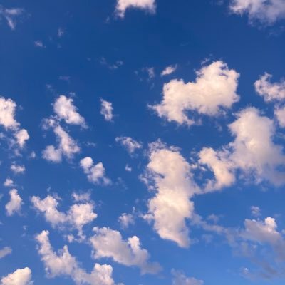 Profile Picture of Dylan Gavin (@DylanGa36540214) on Twitter