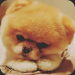 Profile Picture of stella kirby (@sjk7984) on Instagram