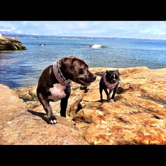 Profile Picture of Ruby Gil (@ru_25) on Poshmark