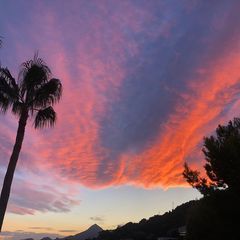 Profile Picture of sandradelvaux7 (@sandradelvaux7) on Tiktok