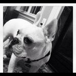 Profile Picture of Stephen Sauer (@stephensauer44) on Instagram