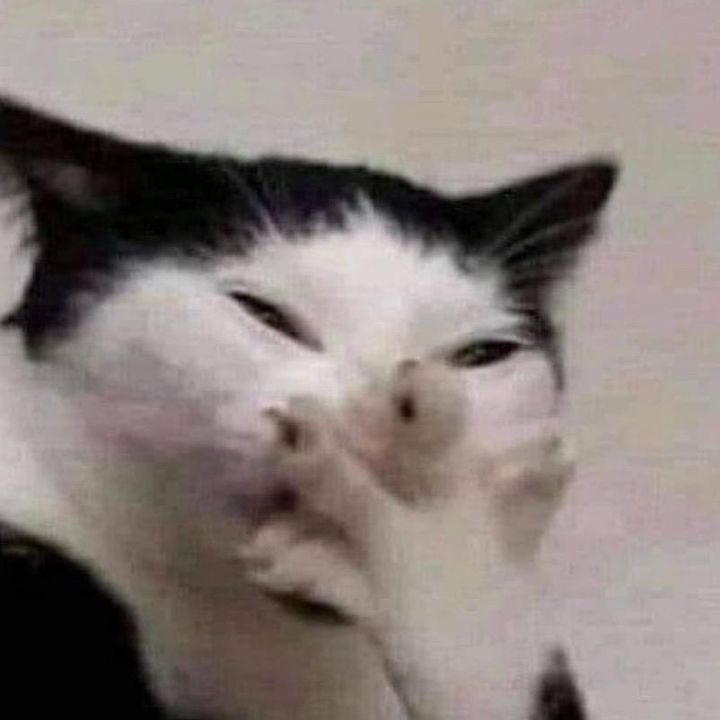 Profile Picture of Benjamin Crank (@jinspongs) on Tiktok