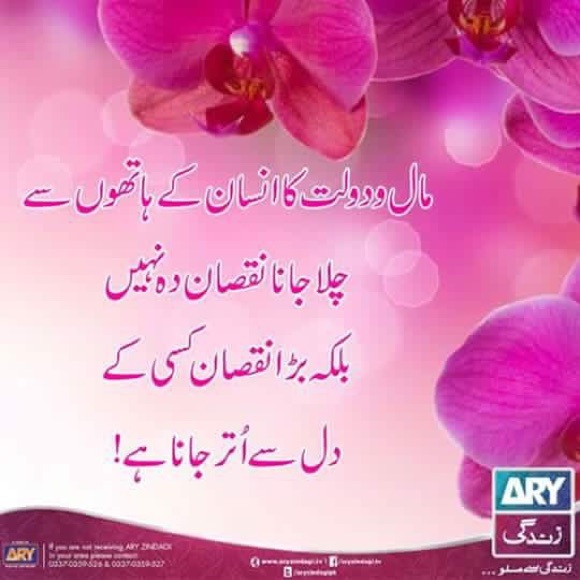 Profile Picture of Zee Zee (@zayedz) on Poshmark