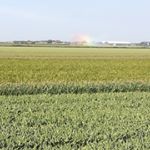 Profile Picture of Michael Kant (@michael.kant.39) on Instagram