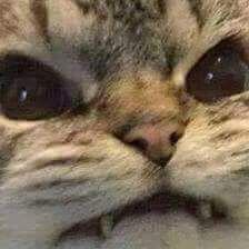 Profile Picture of Rosa Valentin Obregon (@rosavalentinob1) on Twitter