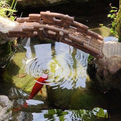 Profile Picture of Vincent Xiong (@lesliebaggio) on Twitter