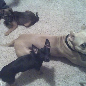 Profile Picture of Chloe Arroyo (@bonitachloe) on Myspace