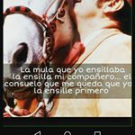 Profile Picture of Nelson Ivan Araya Vargas (@nelsonivanarayavargas) on Instagram