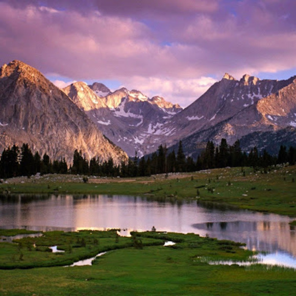 Profile Picture of Fatima Farooq (@fatima525) on Poshmark