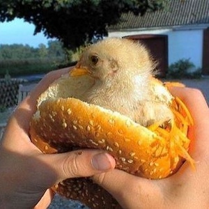 Profile Picture of Nicolas Heron (@167666843) on Myspace